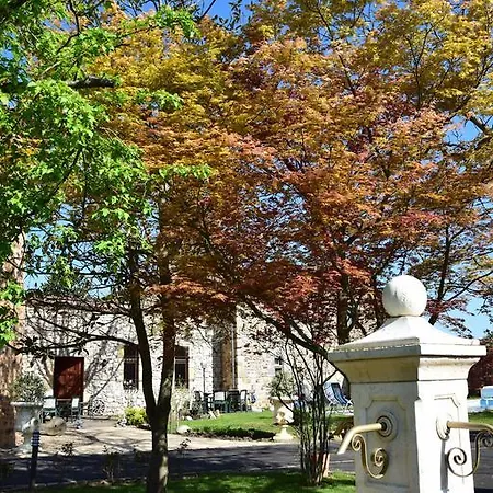 Chateau Des Aiguilles 3*