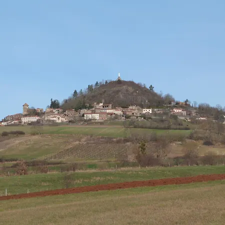 Chateau Des Aiguilles Bed & Breakfast Saint-Remy-de-Chargnat