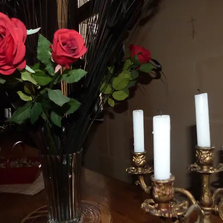 Chateau Des Aiguilles Bed & Breakfast Saint-Remy-de-Chargnat