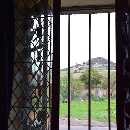 Chateau Des Aiguilles 3* Saint-Remy-de-Chargnat