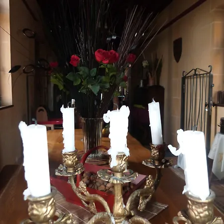Chateau Des Aiguilles Nocleg ze śniadaniem 3*