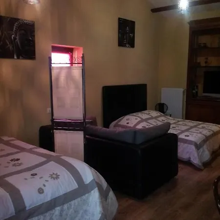 Chateau Des Aiguilles Bed & Breakfast Saint-Remy-de-Chargnat