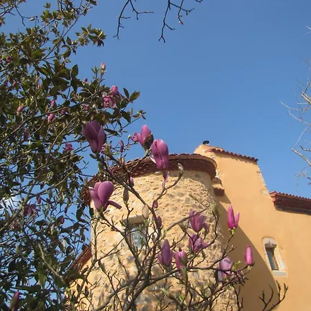 Chateau Des Aiguilles 3* Saint-Rémy-de-Chargnat