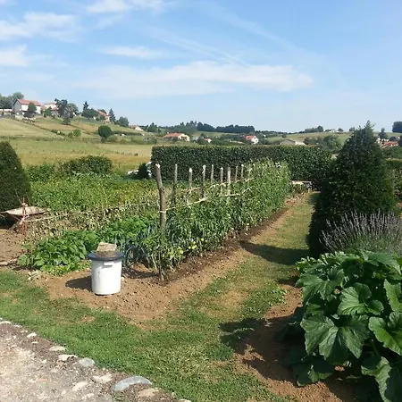 Bed and breakfast Chateau Des Aiguilles