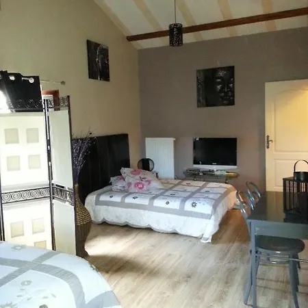 Bed and breakfast Chateau Des Aiguilles 3*