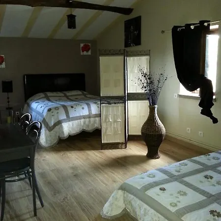 Chateau Des Aiguilles Bed & Breakfast 3*