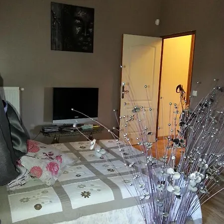 Bed & Breakfast Chateau Des Aiguilles Saint-Remy-de-Chargnat